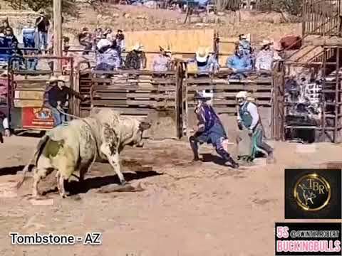 EDNEI CAMINHAS - CAMPEÃO EM TOMBSTONE - AZ 2022