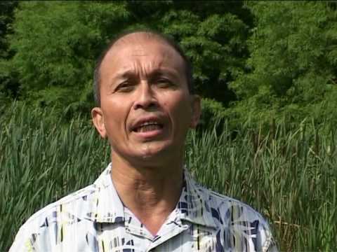 (Indorock) The Black Wings Band - Indo Dreams Medley