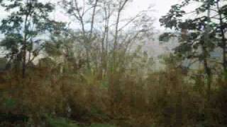 preview picture of video 'Descendo a Serra do Ibiapaba (Tianguá -CE)'