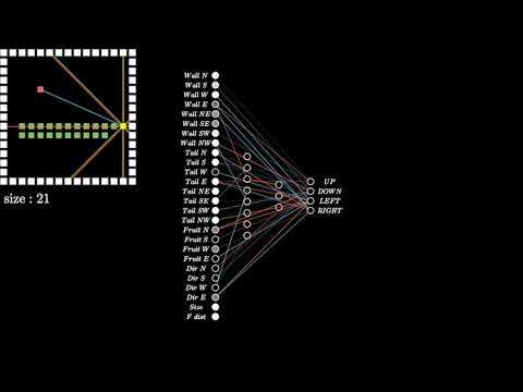 Visualizing the NEAT Algorithm - 2. How the AI Works, Inputs and the Neural Network