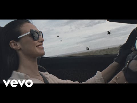 Alan Walker  & Hernandz  - In The End (Official Music Video)