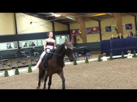 CVI Ermelo 2012  Juniorteam Mainz Ebersheim Pflicht