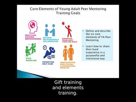 Training Peer Mentors