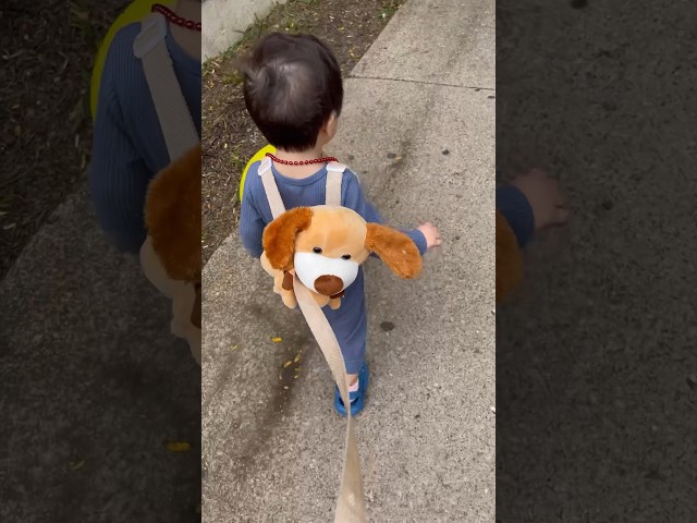 Vídeo relacionado con EANAGO Cinturón vegano >ROCKSTAR< para niños - cinturón infantil con remaches chulos para niñas de 3 a 12 años