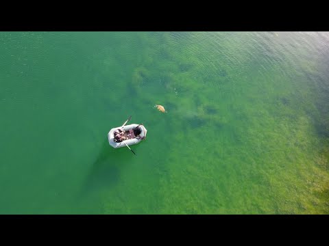 Karpfenangeln 2021 VTB04 erfolgreich am Steinfeldsee / la motta, drone, Carp, big fish, fishing