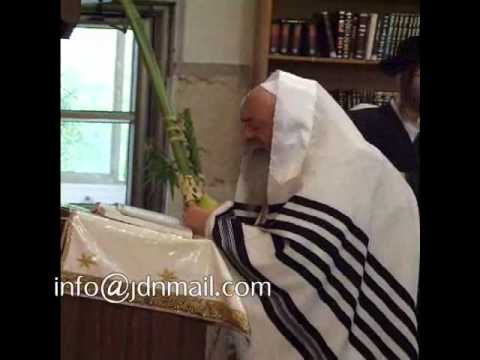 Lelover Rebbe Nanu'im on Sukkos 5771