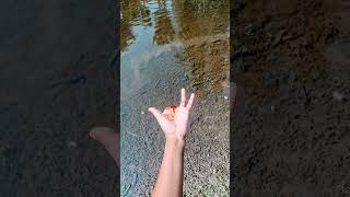 Lost a finger, but it's all good, it's magic, just messing around.