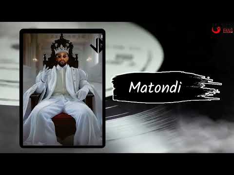 Fally Ipupa _-_ Matondi (Audio IA) - [RUMBA]