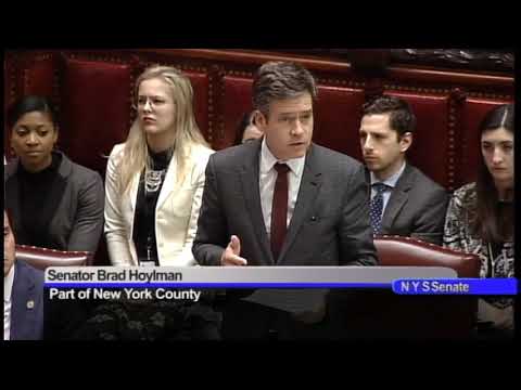 Senator Hoylman comments on the hostile amendment on Gun Control