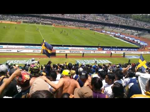 "PUMAS Vs america -La Copa Libertadores Es Mi Obsesión La REBEL 2016" Barra: La Rebel &bull; Club: Pumas