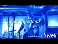 (Members Of) SWELL - Is That Important?