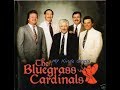Bluegrass Cardinals - My Kinda Grass (1994)