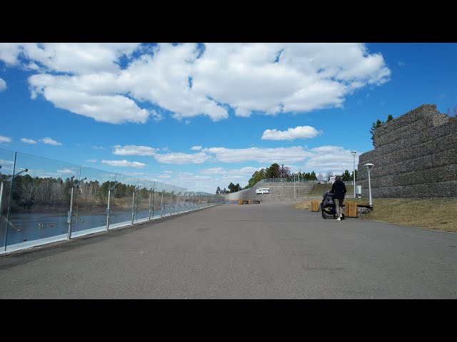 Что лето нам готовит