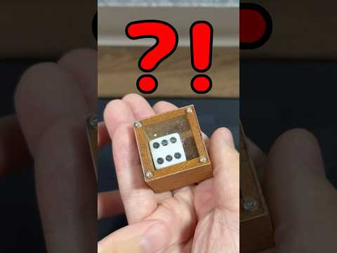 【絶対に向きが変わらないはずのサイコロ】🎲向きを変えます #yamicubes #サイコロマジック