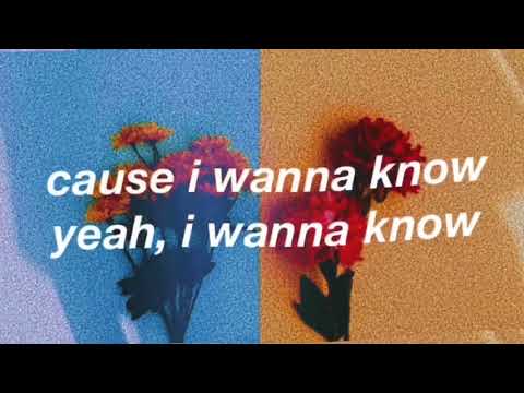 i wanna know lyric video - notd ft. bea miller
