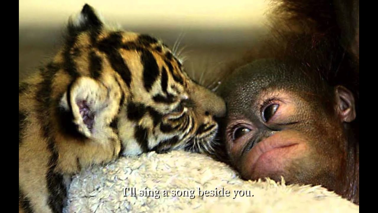 Bruno Mars -  Count On Me - Lyrics on screen