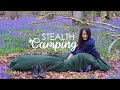 Stealth Camping in Busy Bluebell Forest in Bivi Bag