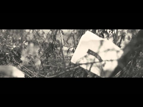 Simon Grohé - Mai (Offizielles Musikvideo)