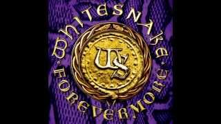 Whitesnake 2011   Forevermore Acoustic version)