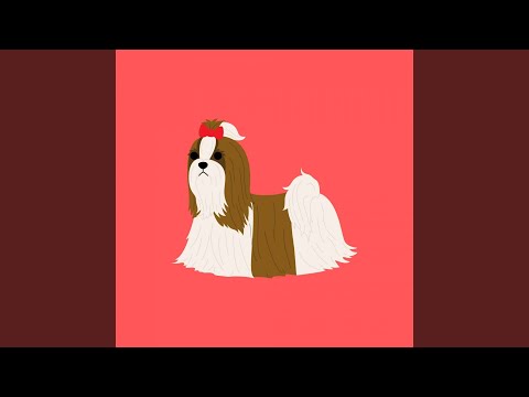 Energetic A Peaceful Pup