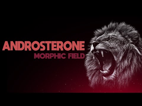 EXTREME ANDROSTERONE - MORPHIC FIELD