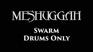 Meshuggah Swarm DRUMS ONLY