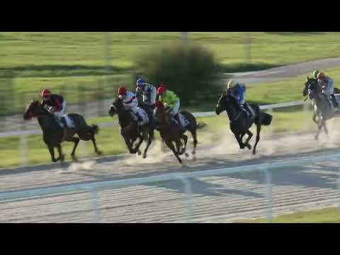 2022.10.16. 08. futam - CAISSOT HENDIKEP (IV.o.) (szintetikus pálya)