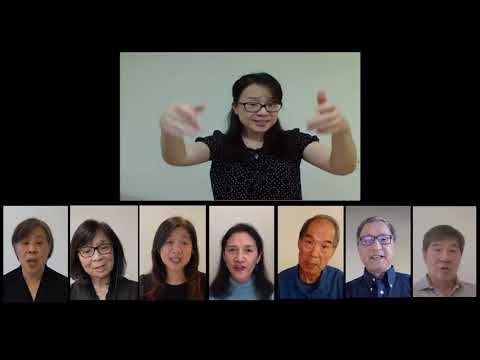 Three Blessings - The Singing Owls