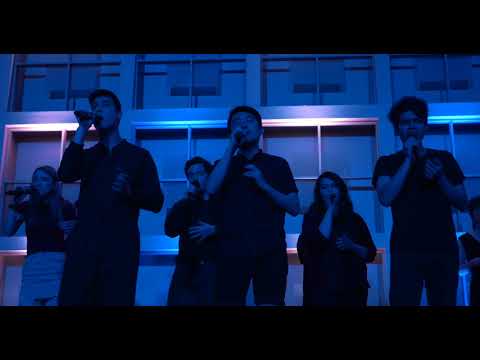 The Chordials - Ohio (OPB Crosby, Stills, Nash & Young)