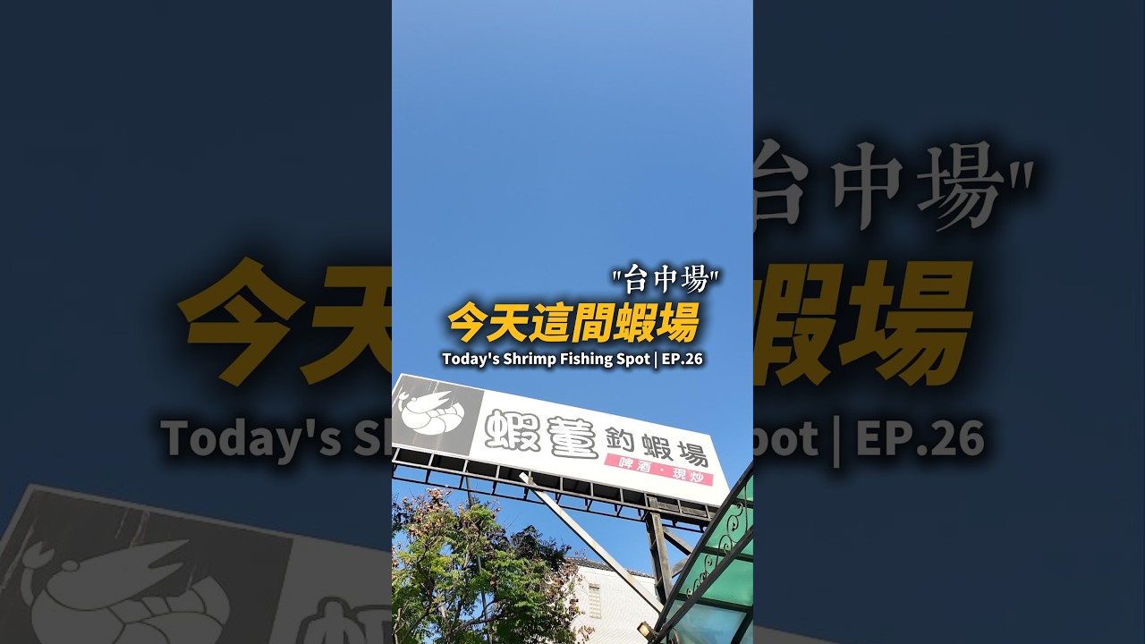 今天這間蝦場EP.26【MLS蝦戰天下】#17shrimp #台湾のエビ釣り #shrimpfishing #새우낚시