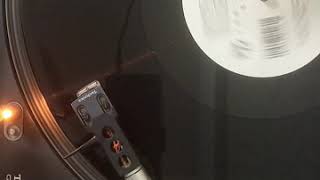 GROOVE GARDEN / YOU'RE NOT COMING HOME