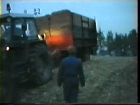 Vanneste - Deerlijk - Claas Jaguar SF 60