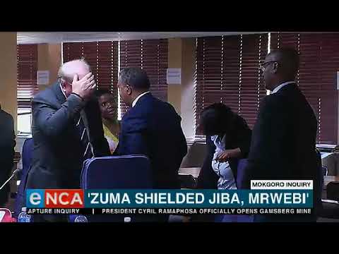 Zuma shielded Jiba, Mrwebi