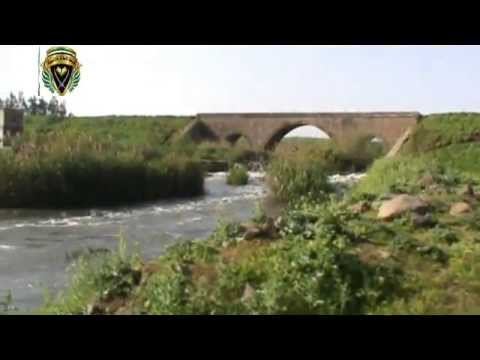 مجموعة من عناصر الفيلق الأول على جسر نهر العاصي بعد السيطرة عليه في حمص