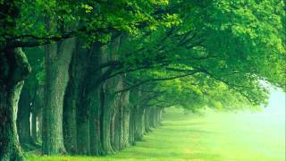 Ayaat al Kursi beautiful recitation Imam Abdul Wali al Arkani