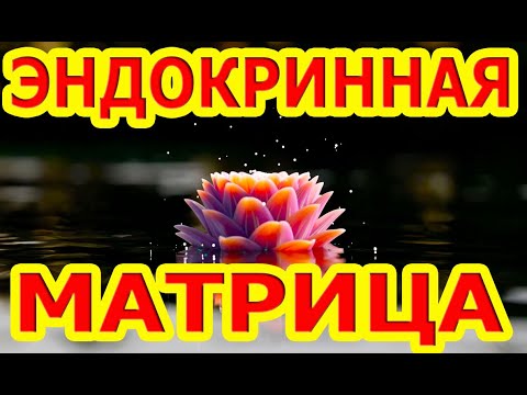 Самая Важная и Мощная Матрица П. Гаряева По Эндокринной Системе Человека.