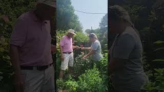 In the garden with Dr. Allan Armitage: Brindabella Roses