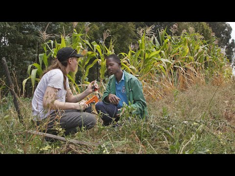 No Drop to Spare: Irrigation Innovation Documentary