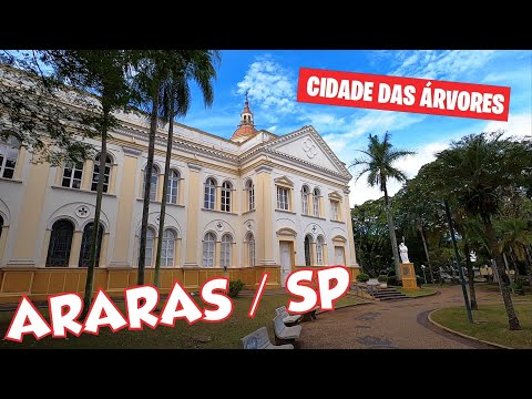 ARARAS / SP. A Cidade das Árvores . Caminhando pelo Centro da Cidade. Dezembro/2022