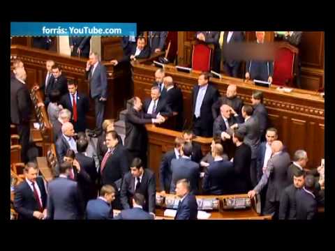 Erdélyi Magyar Televízió - Metszet: Kétfarkú kutya Párt