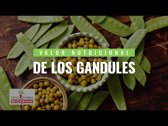 Vídeo relacionado con El Plebeyo - Gandules secos - Producto original del Perú - Ideal para tus comidas - 500 gramos