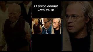 El único animal INMORTAL