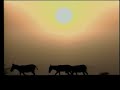 Safari Endangered Wildlife Of India
