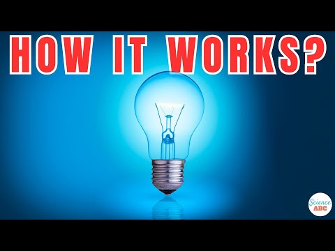 How Does a Light Bulb Work?