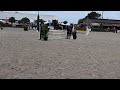 Cheval de sport avec moyens