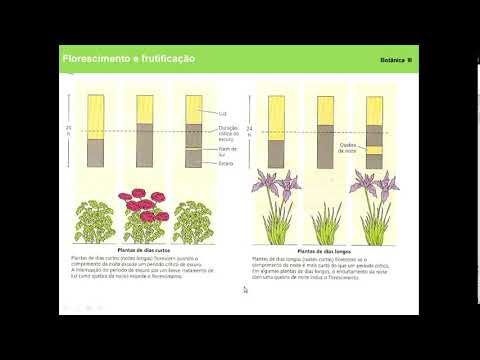 Aula 15: Florescimento e Frutificação - Botânica III FFP/UERJ