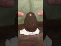 Open an Avocado without a Knife