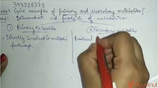 Give examples of primary and secondary metabolites. | CLASS 11 | BIOMOLECULES | BIOLOGY | Doubtn...