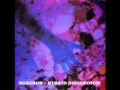 Merzbow - Plasma Birds