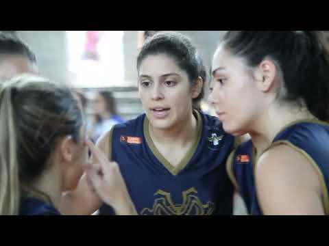 Intermed 2024 | Santa Casa